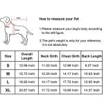 Yoption - Funny Pet Costume for Halloween & Christmas
