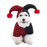 Yoption - Funny Pet Costume for Halloween & Christmas