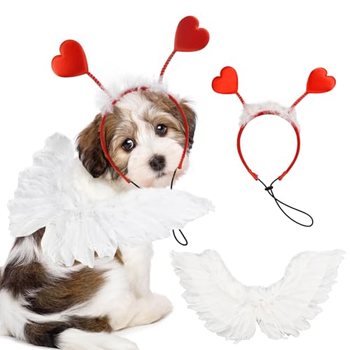 Valentine's Costume Set with Heart Wings and Headband