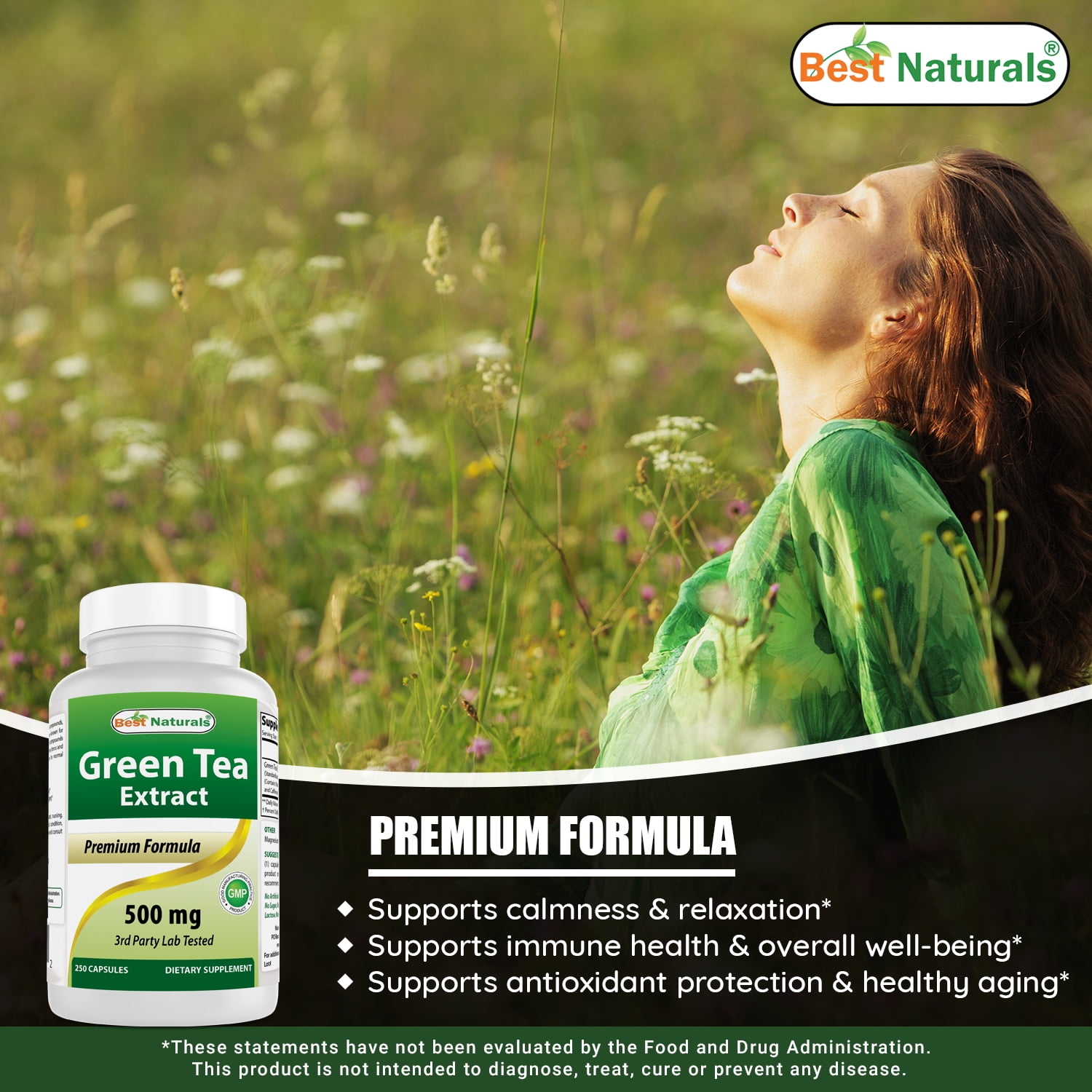 Green Tea Extract 500 mg 250 Capsules