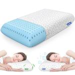 CushZone Memory Foam Pillow with Washable Cover