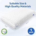 CushZone Memory Foam Pillow with Washable Cover