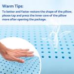 CushZone Memory Foam Pillow with Washable Cover