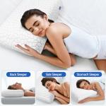 CushZone Memory Foam Pillow with Washable Cover