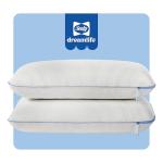 Sealy Dreamlife Queen Memory Foam Cooling Pillows