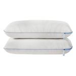 Sealy Dreamlife Queen Memory Foam Cooling Pillows