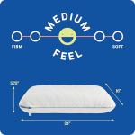 Sealy Dreamlife Queen Memory Foam Cooling Pillows