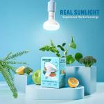 Sunsy Shine BR30 Full-Spectrum Light Bulb