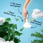 Sunsy Shine BR30 Full-Spectrum Light Bulb