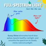 Sunsy Shine BR30 Full-Spectrum Light Bulb