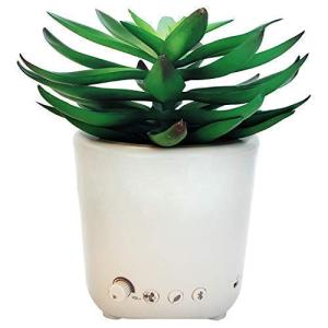 Sleep Plant Sound Machine with Nature and Fan Sounds