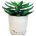 Sleep Plant Sound Machine with Nature and Fan Sounds