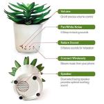 Sleep Plant Sound Machine with Nature and Fan Sounds