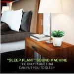 Sleep Plant Sound Machine with Nature and Fan Sounds