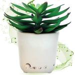 Sleep Plant Sound Machine with Nature and Fan Sounds