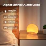 Natural Wood Sound Machine Alarm Clock with Sunrise