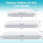CushyOasis Memory Foam Pillows for All Sleepers
