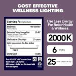 Norb Sleep Light Bulb - Amber LED, Dimmable (2-Pack)