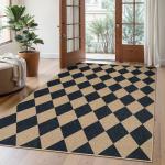 Lahome Checkered Jute 5x7 Area Rug