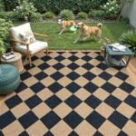 Lahome Checkered Jute 5x7 Area Rug