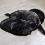 Heart Shaped Faux Fur Rug Set - Black