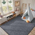 Washable 6x9 Grey Area Rug for Home Decor