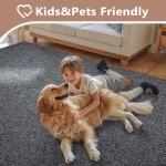 Washable 6x9 Grey Area Rug for Home Decor