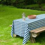 Blue and White Checkered Rectangular Tablecloth 60"x102