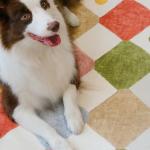 Jinchan 5x7 Washable Kids Non-Slip Area Rug