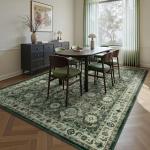 Sage Green 5x7 Boho Area Rug, Washable & Soft