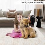 Beige Washable Modern Rug for Living Room