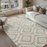 Beige Super Soft Shag 4x6 Living Room Rug