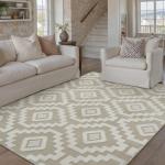 Beige Super Soft Shag 4x6 Living Room Rug