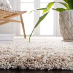 Modern Ivory & Beige Shag Accent Rug 4' x 6