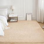 Beige 4x6 Soft Shag Area Rug for Home
