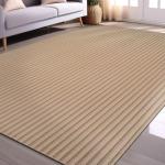 Beverly 4x6 Fluffy Plush Area Rug in Beige