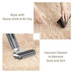 Beige 4x6 Soft Shag Area Rug for Home