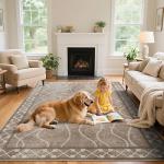 Woottpe 4x6 Area Rugs for Bedroom Living Room, Machine Washable Low Pile Rugs, Non Slip Modern Bordered Print Indoor Carpet for Entryway Office Dining Room Dorm Home Decor, Brown