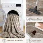 Woottpe 4x6 Area Rugs for Bedroom Living Room, Machine Washable Low Pile Rugs, Non Slip Modern Bordered Print Indoor Carpet for Entryway Office Dining Room Dorm Home Decor, Brown