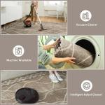 DweIke 4x6 Area Rugs for Living Room, Machine Washable Bordered Rug for Bedroom, Luxury Rubber Backing (Non-Slip) Low Pile Throw Carpet for Dining Room Kitchen Home Decor, Brown