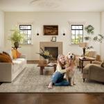 Machine Washable Boho Area Rug 8x10