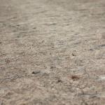 Mohawk Home Non Slip Rug Pad 1/4" Thick Felt + Latex Rubber Gripper - Dual Surface Cushion for Hardwood, Carpet, Tile Floors, Made in USA - 4' x 6' (Rectangular)