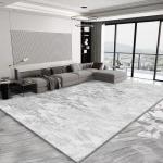 Grey Area Rug, Large Area Rug, Non Slip Outdoor Rug, Washable Area Rug and Mats, Oblong Modern Area Rug for Living Room Bedroom Dining Room Indoor Outdoor Carpet