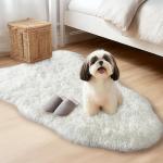 Shaggy Rug for Bedroom Living Room Dorm Decor, Soft Fluffy Shag Throw Rug, Non-Slip Fuzzy Small Carpet 2x3 Feet, Cream White