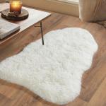 Shaggy Rug for Bedroom Living Room Dorm Decor, Soft Fluffy Shag Throw Rug, Non-Slip Fuzzy Small Carpet 2x3 Feet, Cream White