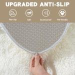 Shaggy Rug for Bedroom Living Room Dorm Decor, Soft Fluffy Shag Throw Rug, Non-Slip Fuzzy Small Carpet 2x3 Feet, Cream White