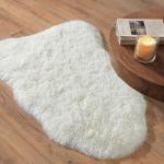 Shaggy Rug for Bedroom Living Room Dorm Decor, Soft Fluffy Shag Throw Rug, Non-Slip Fuzzy Small Carpet 2x3 Feet, Cream White