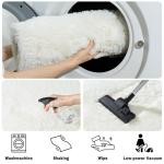 Shaggy Rug for Bedroom Living Room Dorm Decor, Soft Fluffy Shag Throw Rug, Non-Slip Fuzzy Small Carpet 2x3 Feet, Cream White