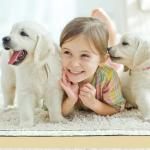 KOECKRITZ Ultrashield Rug Pad - 2' x 12' - 0.45" Thick Memory Foam, Supreme Comfort, 90% Recycled Material