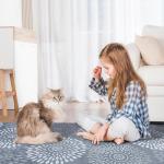 StepRite Runner Rug 2 x 6 ft, Washable Rugs, Hallway Runner Rugs, Kitchen Runner Rug Non Slip